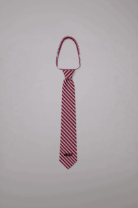 CORBATA #S308