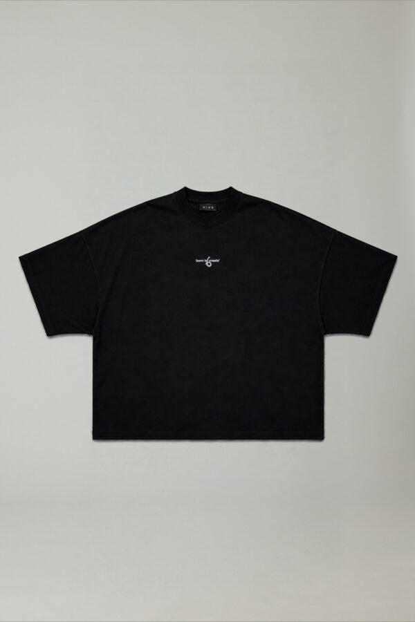 REMERA #S349